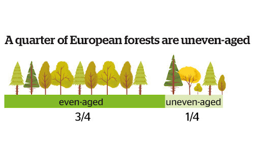La Strategia Forestale in UE